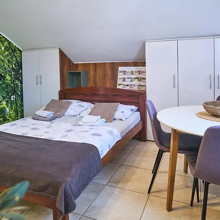 Apartment Zupan Sokobanja