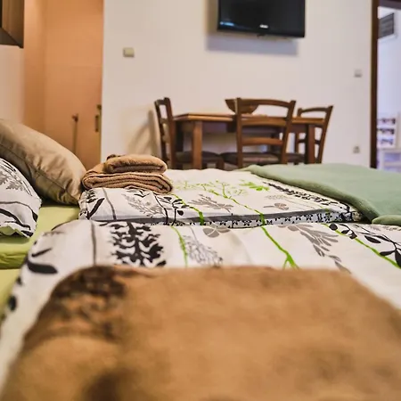 Zupan Apartment Sokobanja