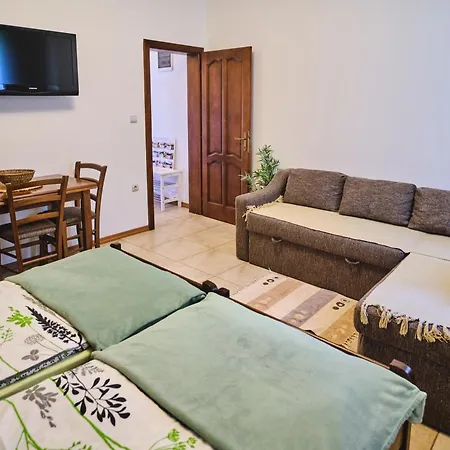 Apartment Zupan Sokobanja