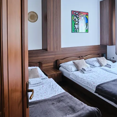 Zupan Apartment Sokobanja