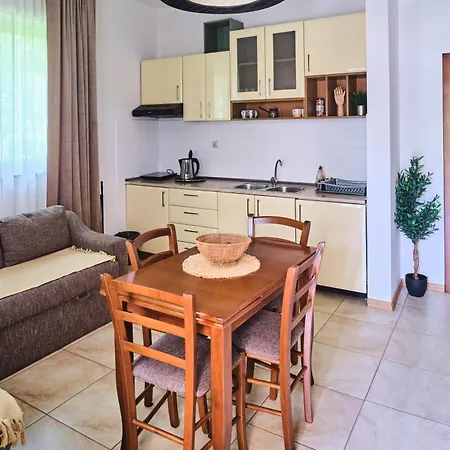 Zupan Apartment Sokobanja