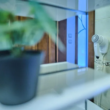 Apartment Zupan Sokobanja