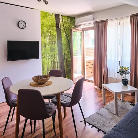 Zupan Apartmán Soko Banja