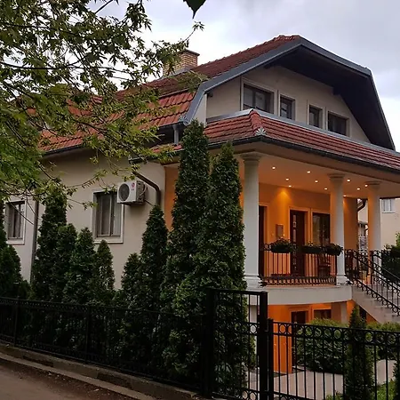 Zupan Apartment Sokobanja