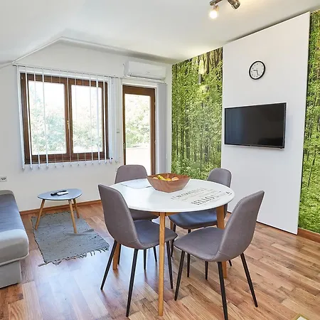 Apartment Zupan Sokobanja