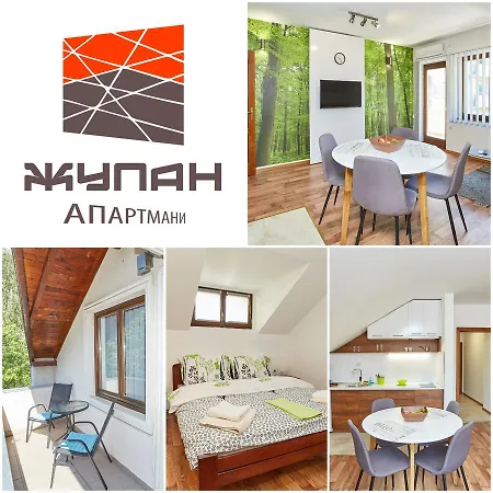 Zupan Apartment Sokobanja