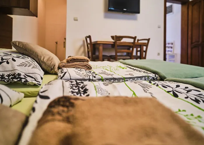 Zupan Apartmán Soko Banja