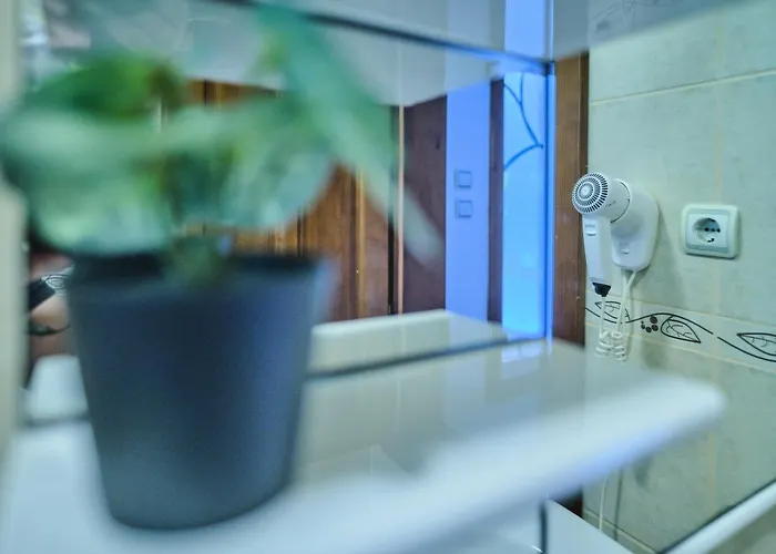 Apartmán Zupan Soko Banja