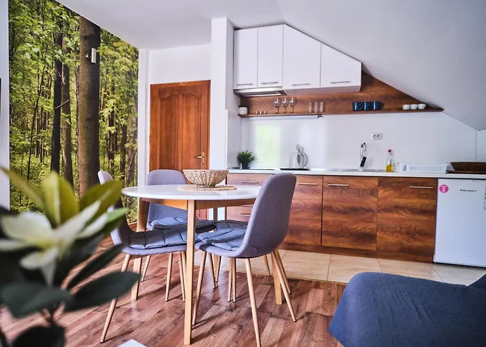 Apartmán Zupan Soko Banja